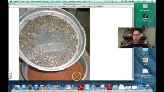 Separating Mixtures