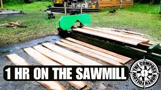 Using the Harbor Freight Sawmill (8 years going strong!) Minor issues.