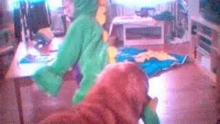 Dog Attack (Blooper)