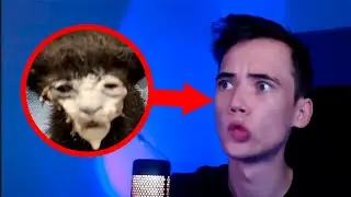 Можешь помурчать минуту?