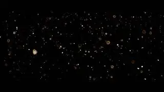 Golden Dust Particles Stock Footage