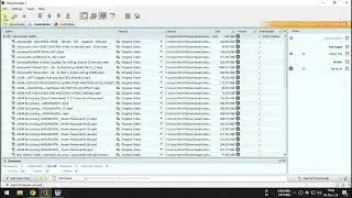 How to open Bunkrr links blocked by DDOS guard ( Dont use it on Windows 11 )