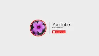 BIENVENIDOS A SU CANAL - LIBRE MENTE