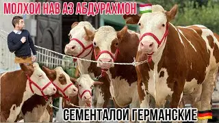 Моли оригинал аз Абдураҳмон 🇹🇯21 июня 2024 г.