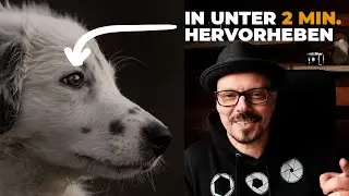 HUNDEAUGEN in Photoshop bearbeiten in unter 2 Minuten!