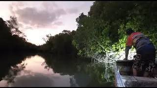 BIG CROC, Barra & Mud Crab Saftey review