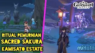 Tutorial Lengkap Ritual Pemurnian Sacred Sakura Part 3:3 | Genshin Impact