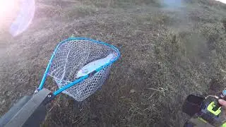 Форель Чусовитино