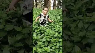 Hayee tere khayalo/ #viral #trending#short#cute