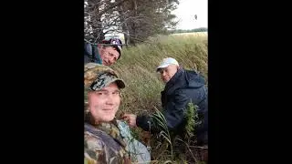 Приятные моменты 2018 года