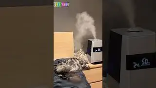 Проведите грядущие выходные с кайфом, котаны 