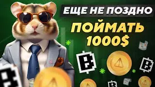 HAMSTER KOMBAT, NOTCOIN, BLUM | СКОЛЬКО ПОЛУЧИТСЯ ЗАРАБОТАТЬ?