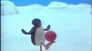 Pingu macht Problem