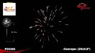 РС6390 СНЕГИРИ