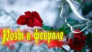 Песня просто супер! Послушайте! Розы в феврале!