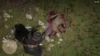 Red Dead Redemption 2 Расчлененка