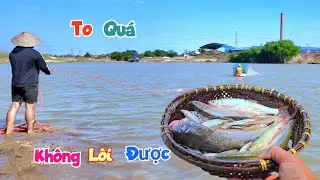 Đánh Thử Chiếc Dọ Siêu To Khổng Lồ Bất Ngờ Với Số Cá Kiếm Được / Quế Nghịch