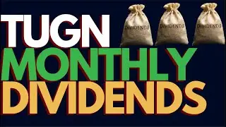 This Monthly Dividend ETF Pays 11%+ (TUGN)