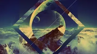 Directo #8