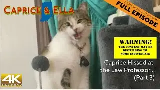 Caprice Hisses at the Law Professor... (Part 3) | Caprice & Ella 809 (clean)