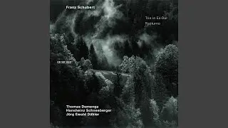 Schubert: Notturno in E-Flat Major for Piano Trio, D. 897