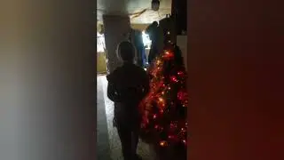 Как мы встретили новый год.