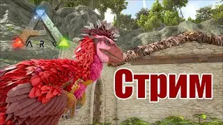 Стрим по строительству Additional Creatures ARK: Survival Evolved