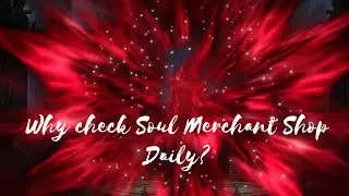 Why it is important to check soul merchant daily in Raid? (Wish list feature)