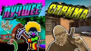 Лучшее За стримы! Робот ТОСТЕР! И Т.Д.