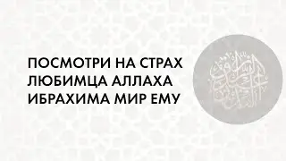 7 ноября 2024 г.