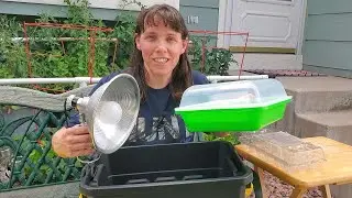How to Make a 3 DIY Project Seed Sprouting Growing System