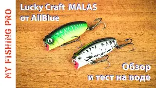 Копия LUCKY CRAFT MALAS от AllBlue. ОБЗОР и ТЕСТ на воде.