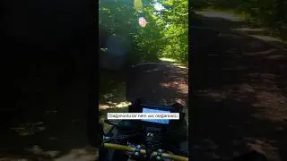Doğada Tek Başına