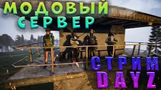 Зашли На Модовый сервер| Dayz (Tigers)