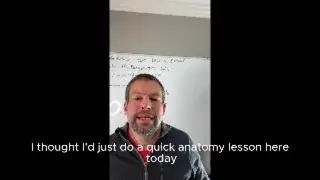 Whose Ready For A Quick Anatomy Lesson? #short