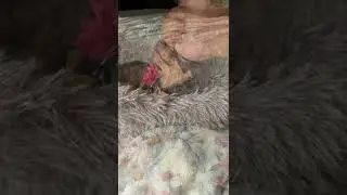 How?