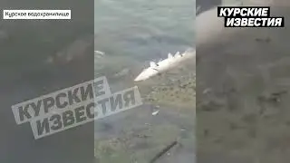 Массовый мор рыбы на Курском водохранилище
