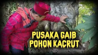 PUSAKA GAIB..!!! POHON KACRUT PASURUAN