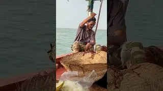Fishing 2024 #shorts #videos
