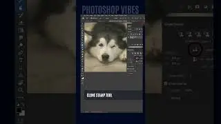 Pet Eye Correction with Clone Source Option in Photoshop