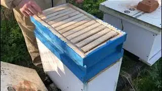 Готовимся к заселению нуклеусов