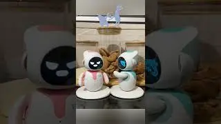 eilik robot always mixing up 