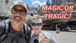 Is Disney Still Magical? Epcot, Animal Kingdom, Hollywood Studios