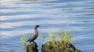 Fort Island Trail Park Crystal River, Florida