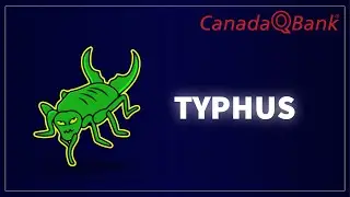Typhus: Symptoms, Transmission & Treatment | Epidemic vs Endemic | Rickettsial Infections