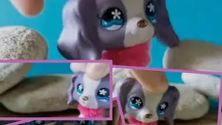 LPS-music video Shower