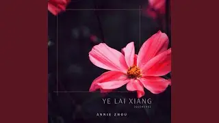 Ye Lai Xiang (Guzheng)