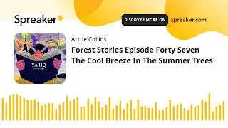 Forest Stories Episode Forty Seven The Cool Breeze In The Summer Trees