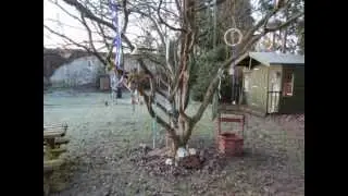 Jan 2012 Finleys World