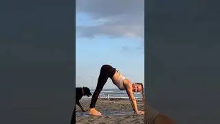 Dogs and Yoga